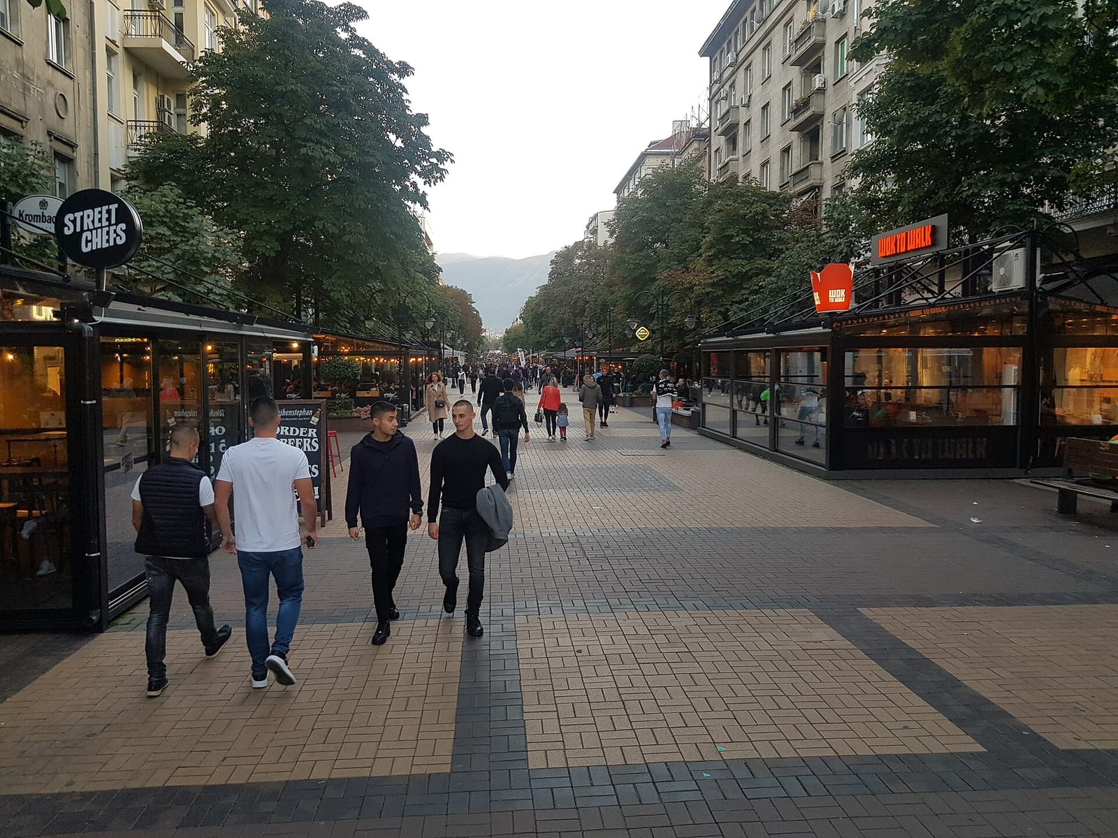 Vitosha Street photo 4