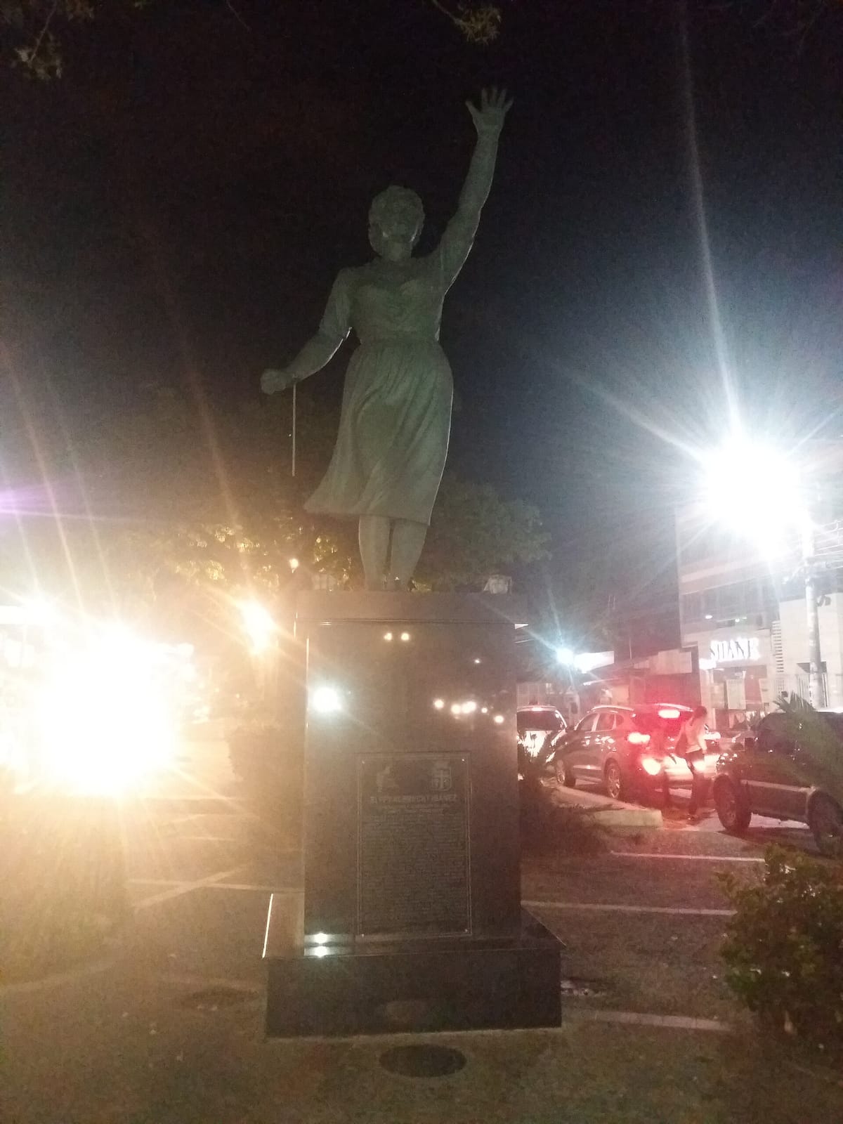 Sir Francis photo 2