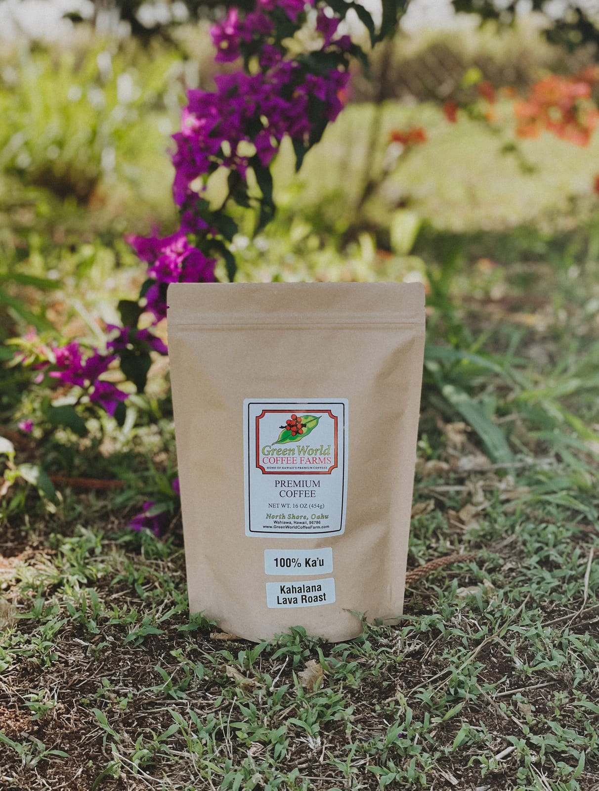 Green World Coffee Farm photo 1