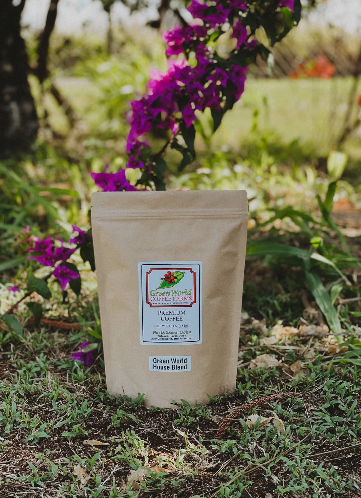 Green World Coffee Farm photo 3