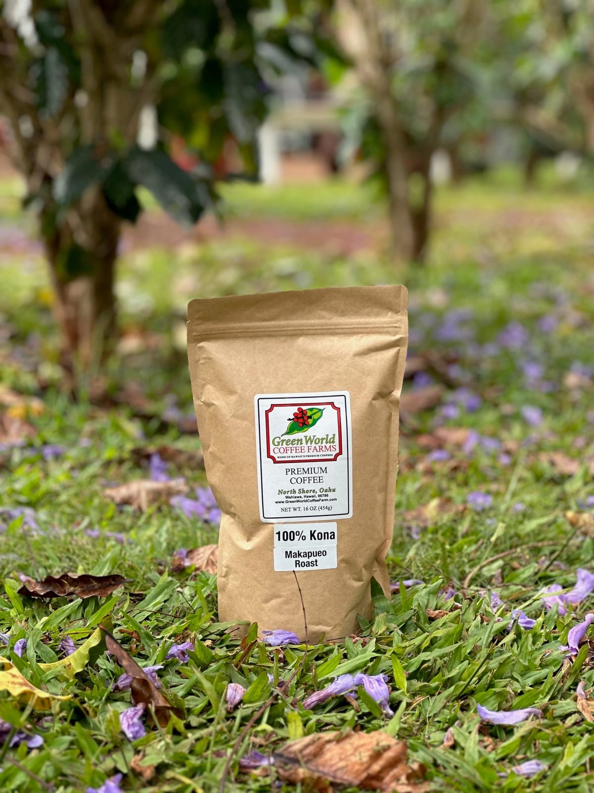 Green World Coffee Farm photo 4