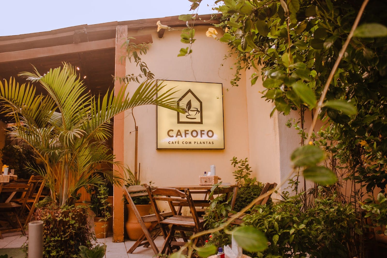 Cafofo Café com Plantas