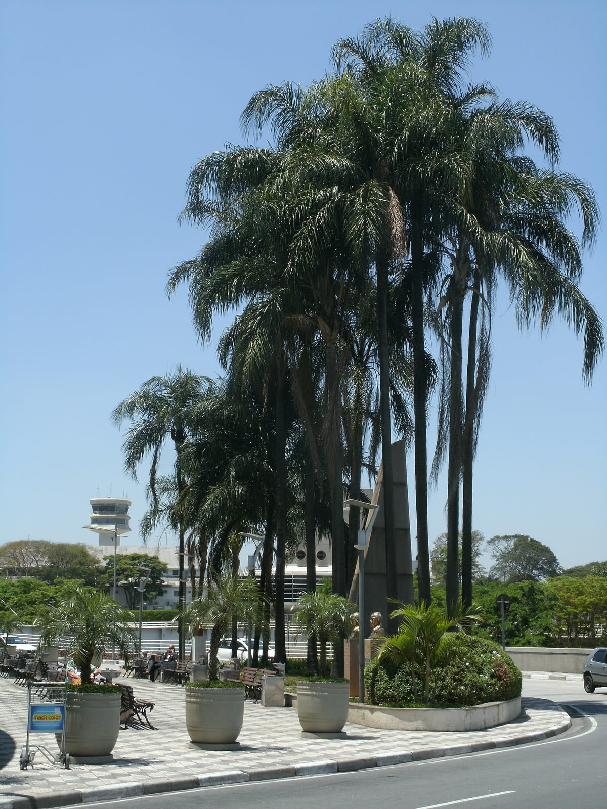 Starbucks photo 3