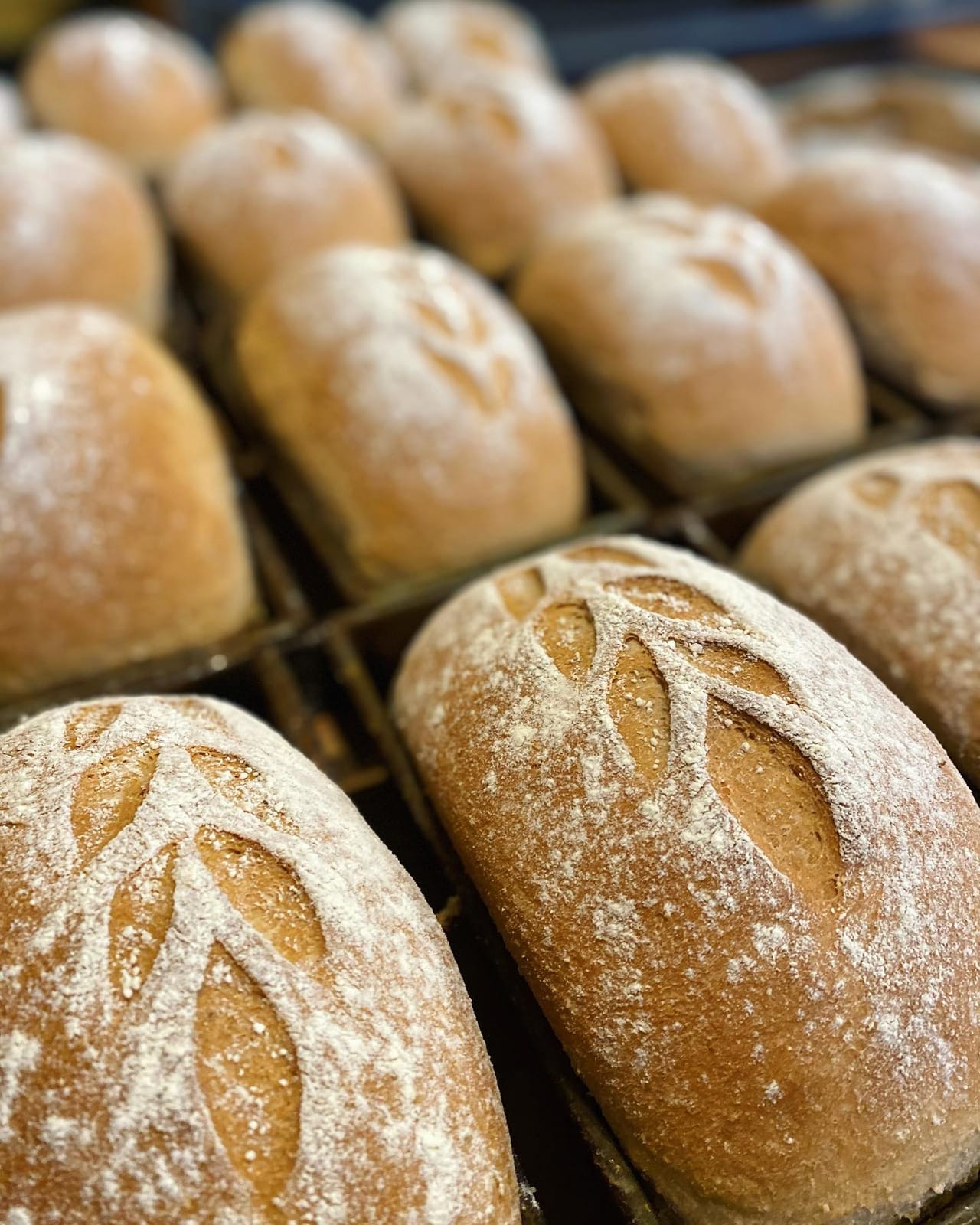 Great Harvest Bakery & Cafe photo 3