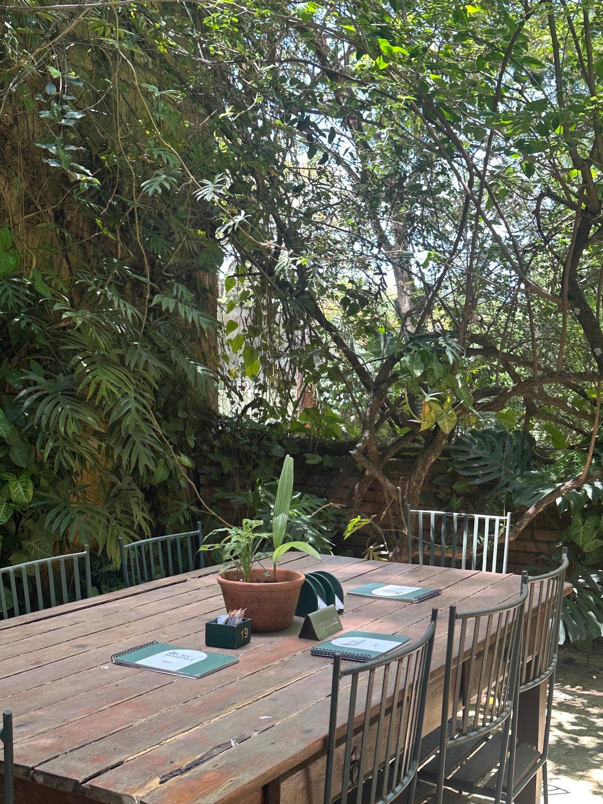 Café Maritaka