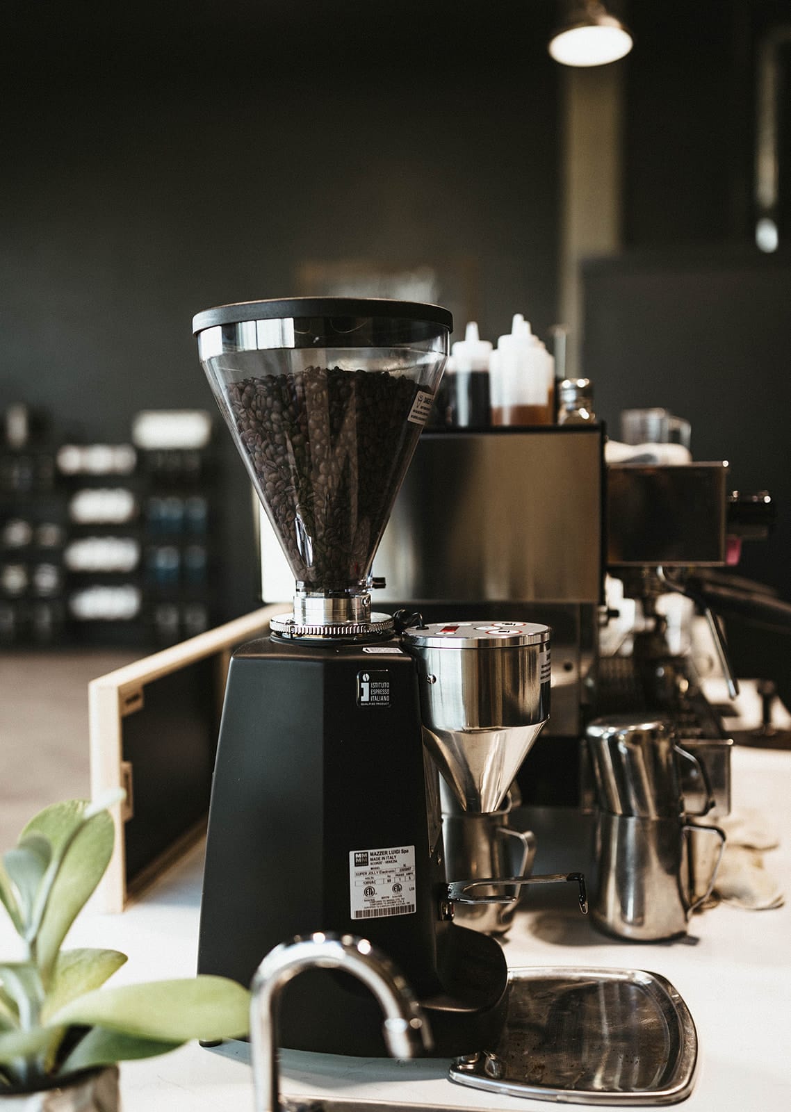 Anchored Coffee Company