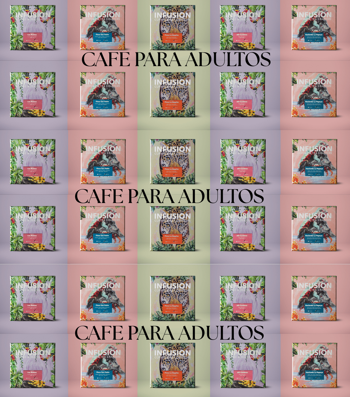 Infusion Coffee & Tea Crafters photo 3