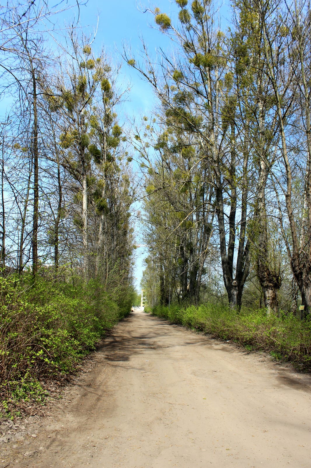 Varka photo 4