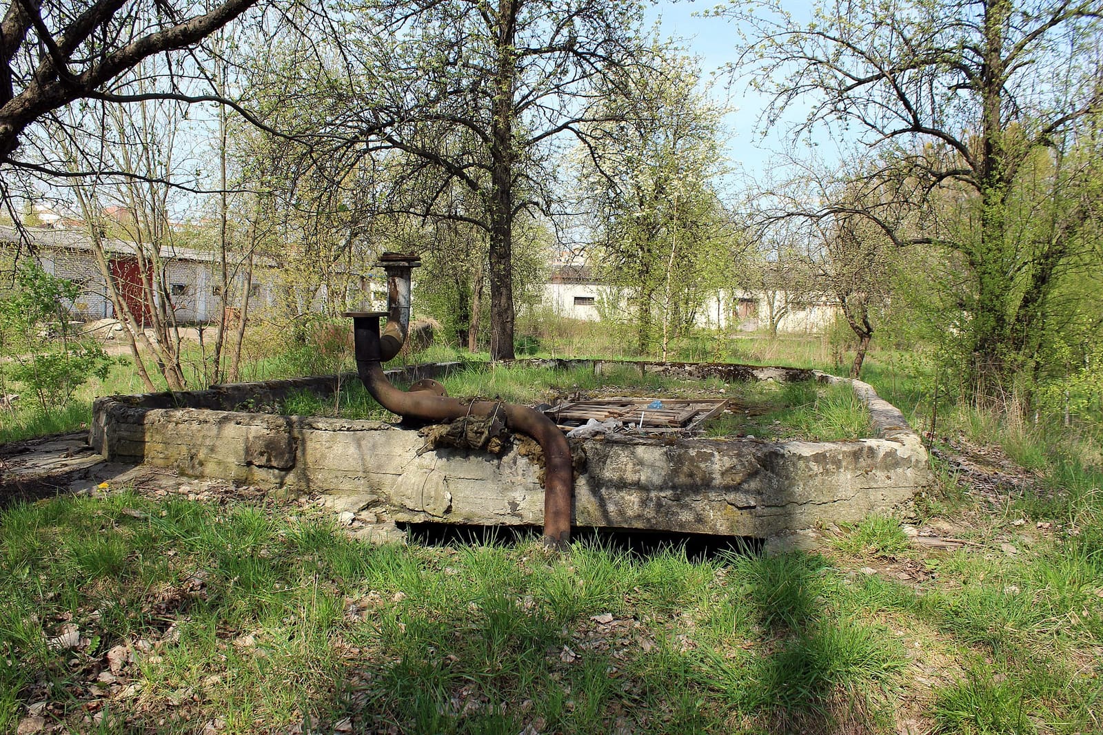 Varka photo 3