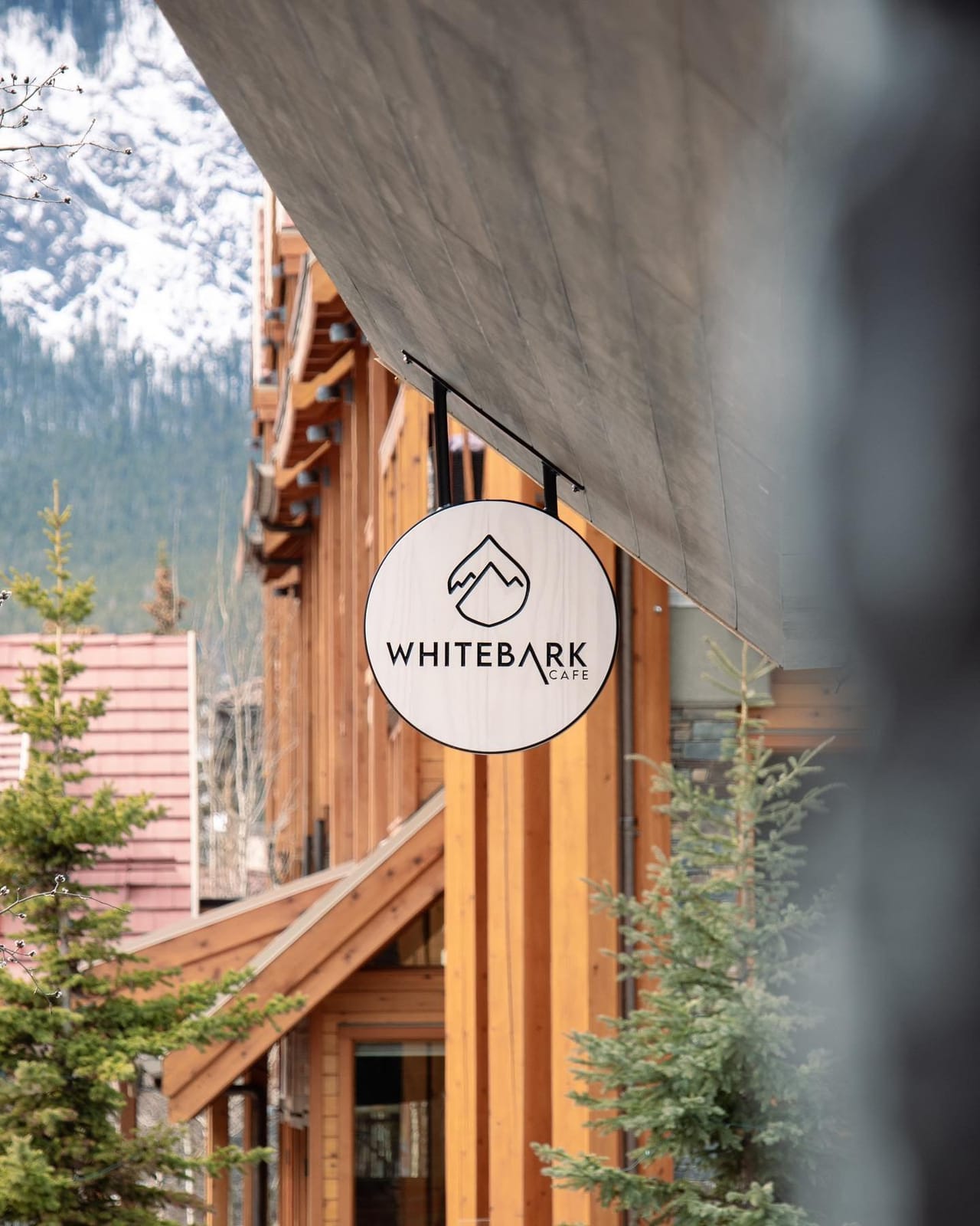 Whitebark Cafe photo 4