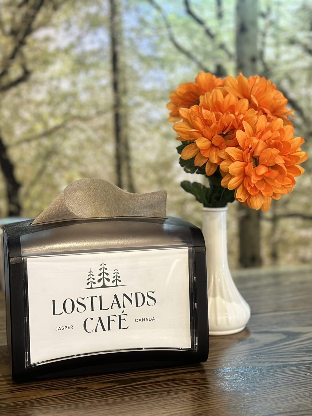 Lostlands Cafe