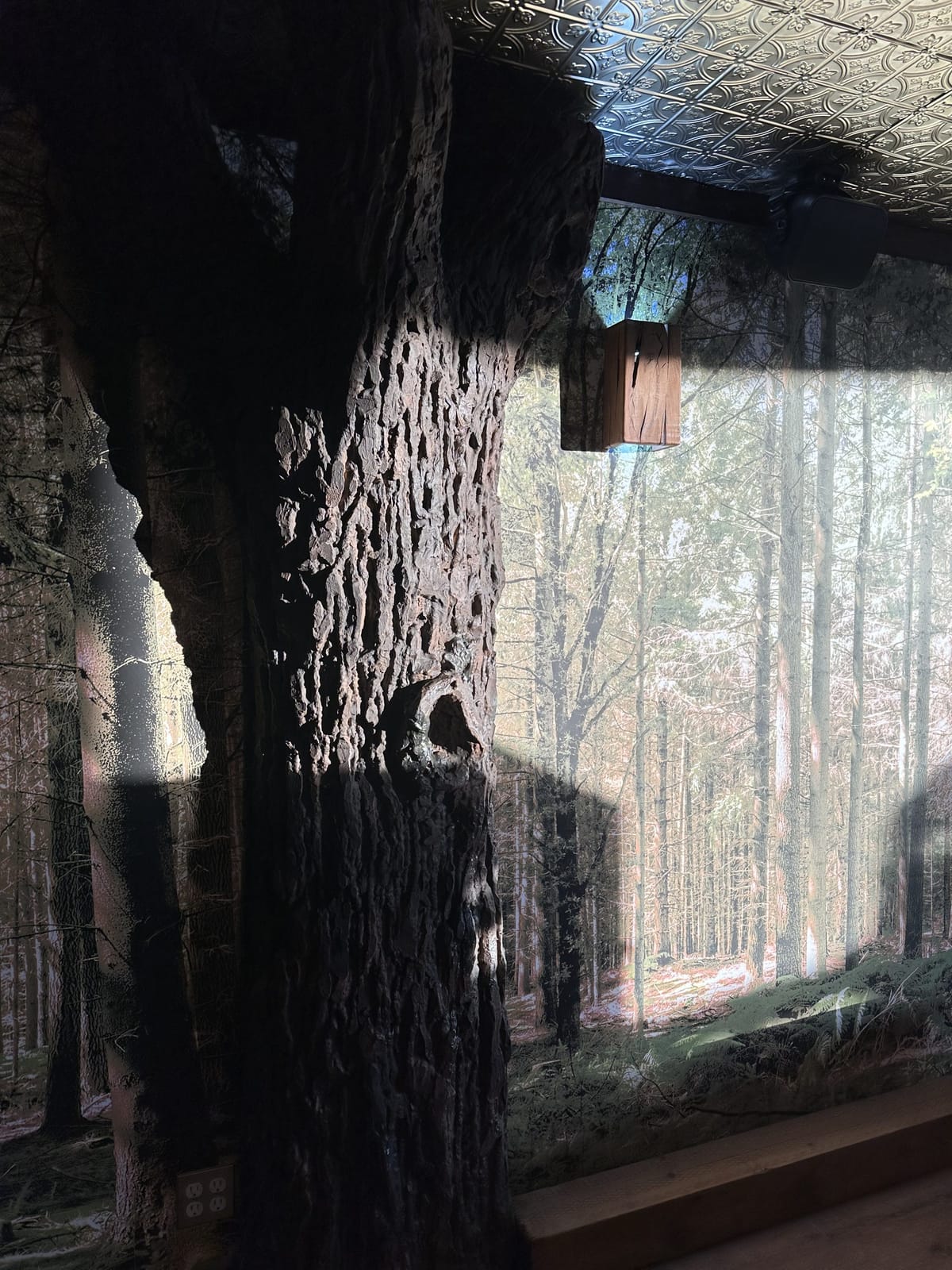 Lostlands Cafe photo 2