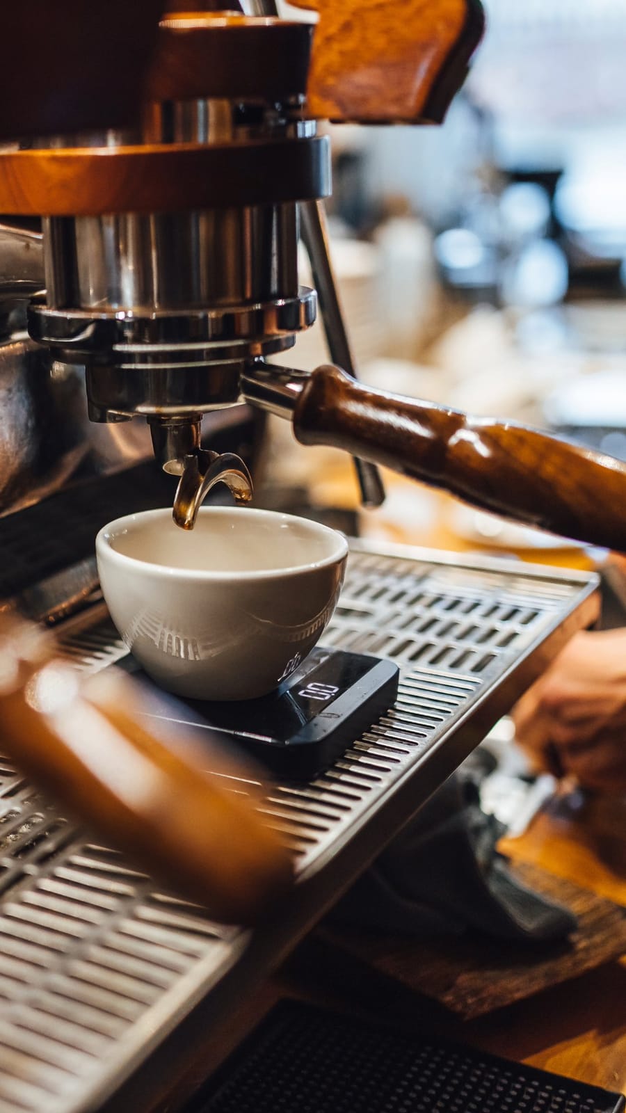 Little Wild Coffee photo 3