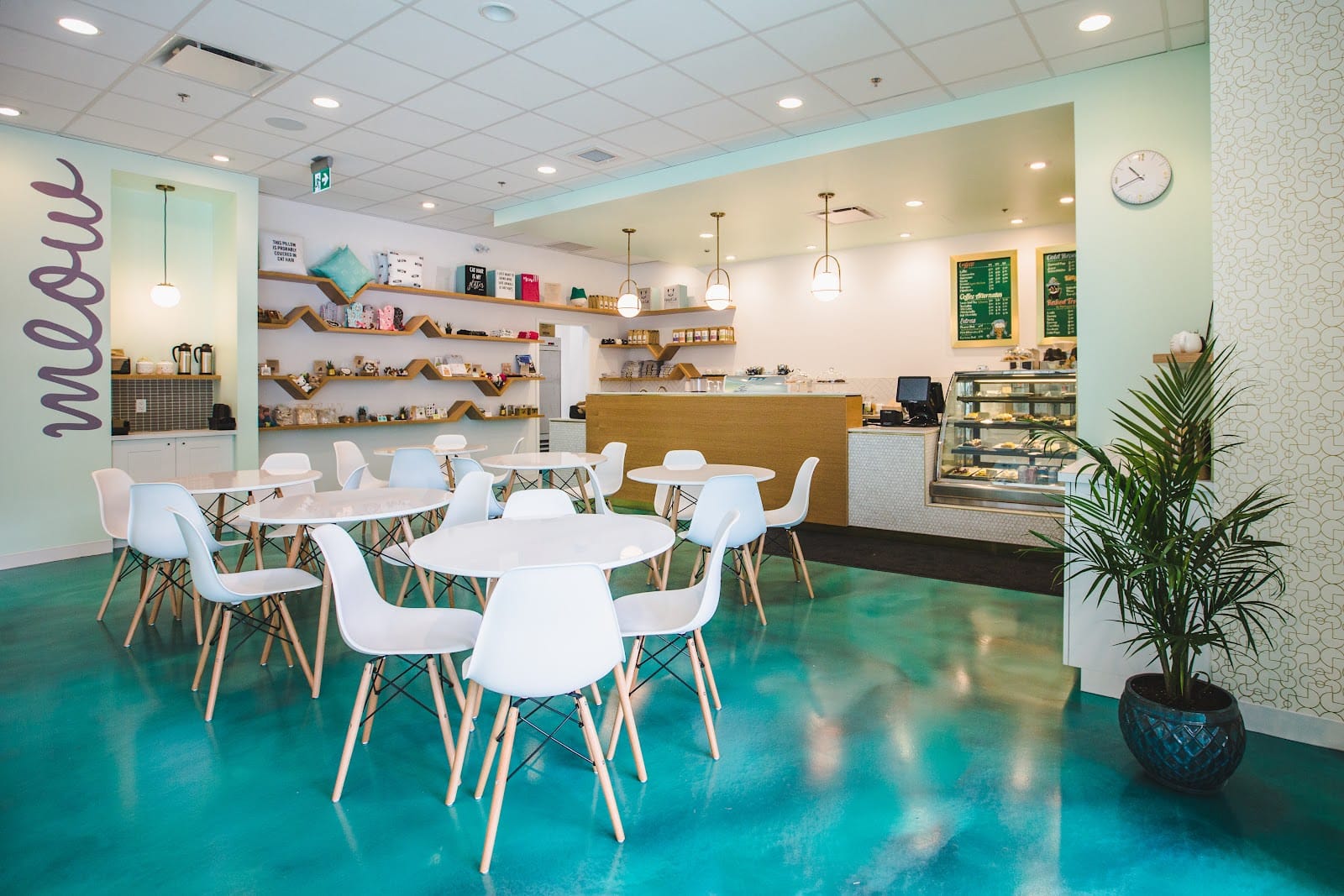 Regal Cat Café