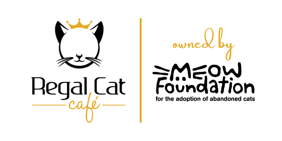 Regal Cat Café photo 2