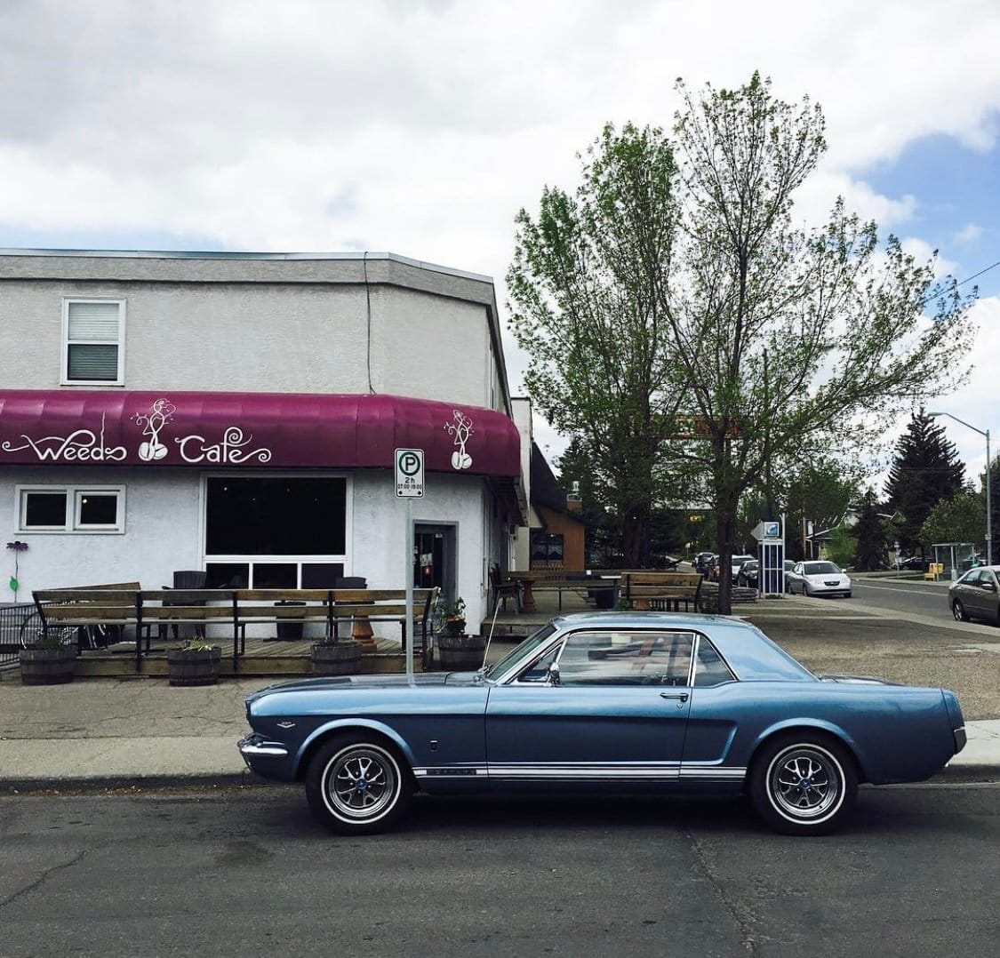 Weeds Cafe photo 3