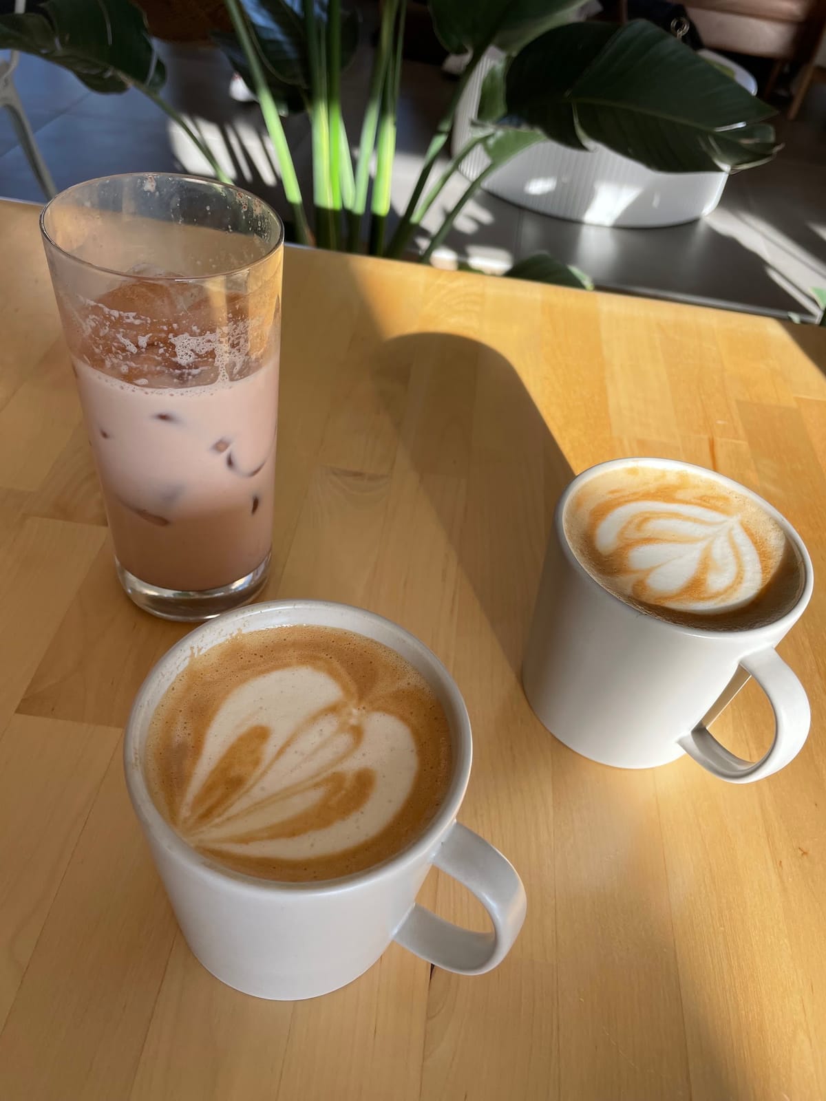 The Wall Coffee Roasters