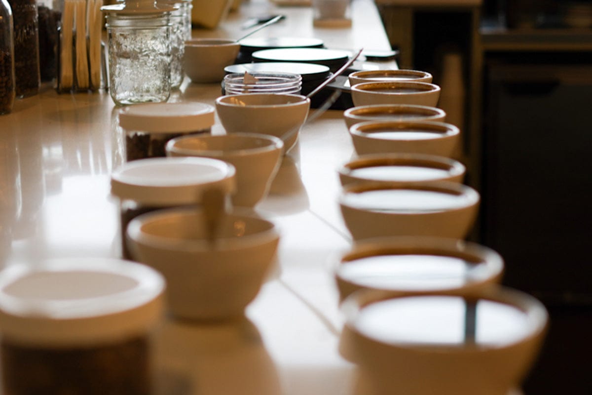 Bows Coffee Roasters photo 5