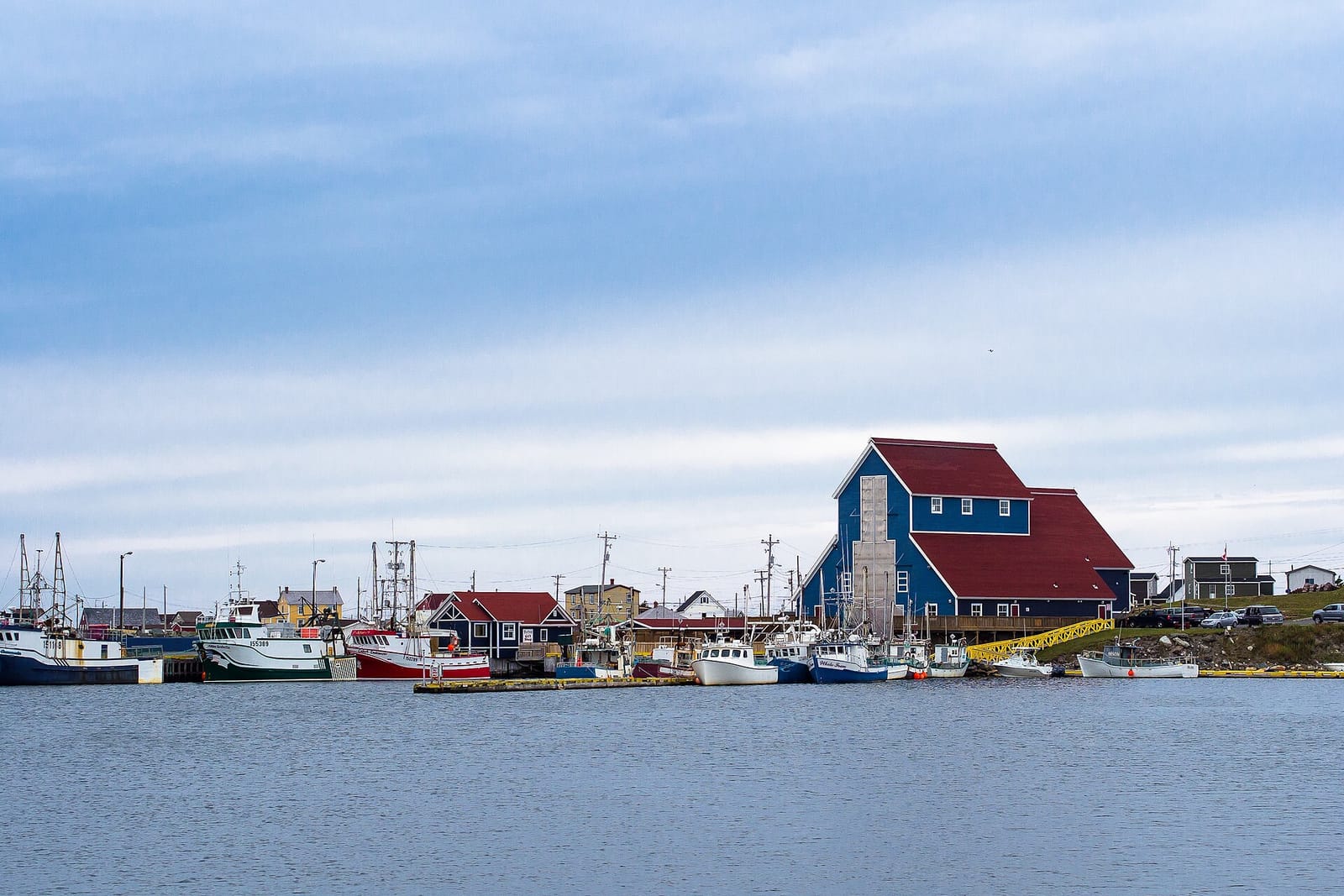 Bonavista Bicycle Picnics and Cafe photo 2