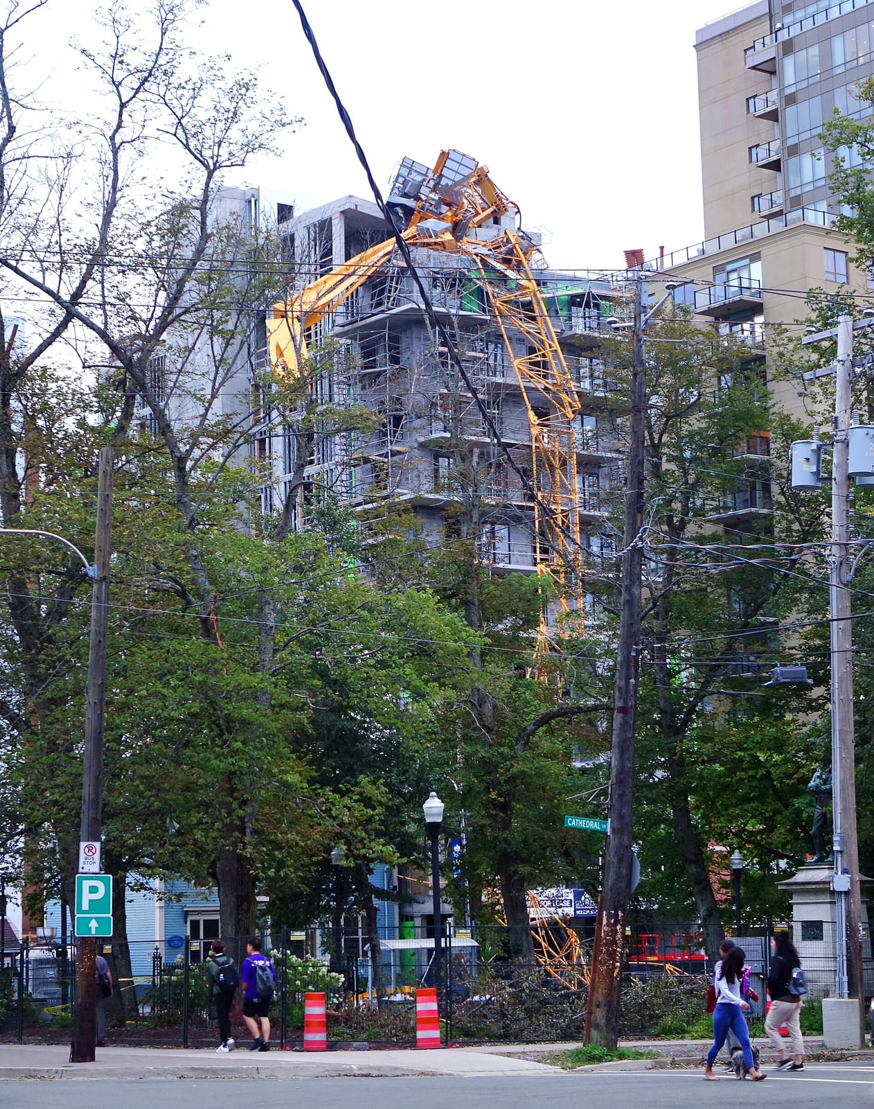Humani-T photo 2