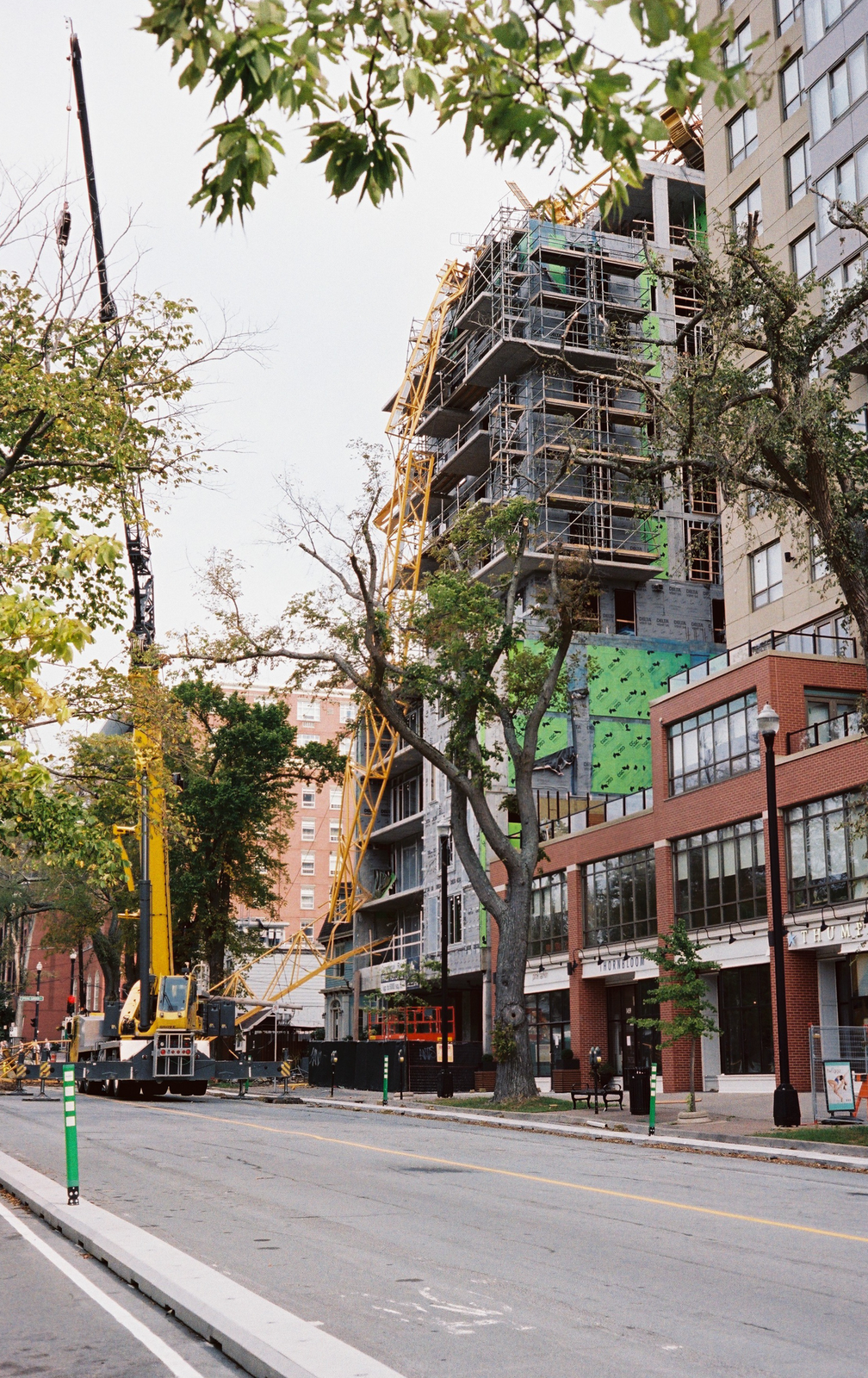 Humani-T photo 4