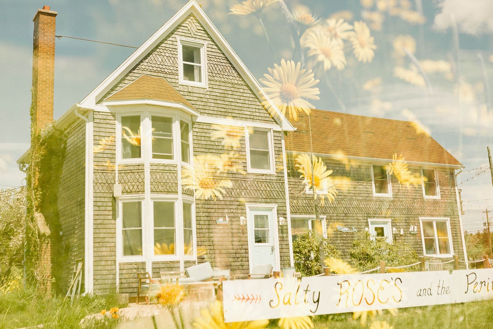 Salty Rose's and the Periwinkle Café photo 3