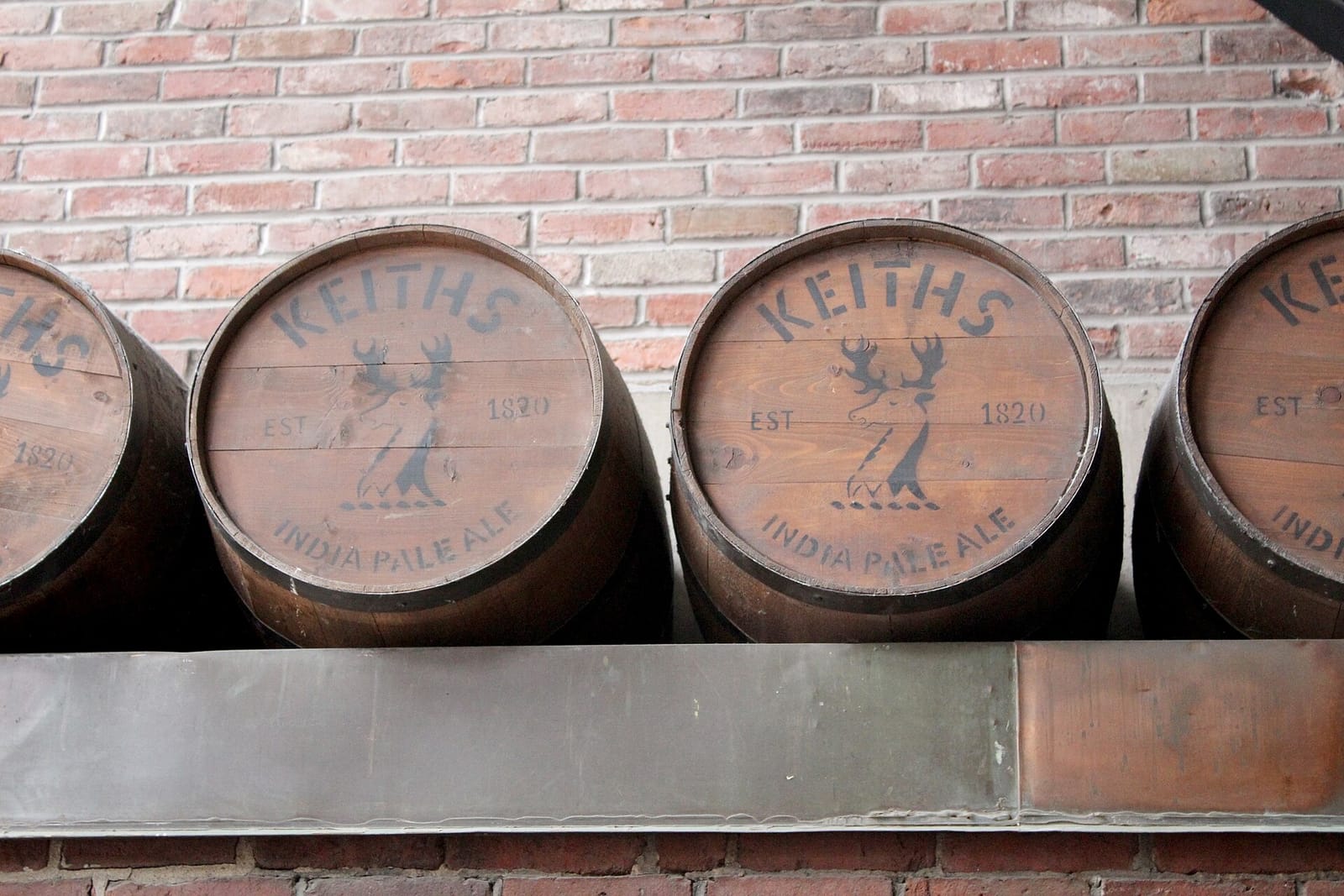 Terra Cafe photo 2