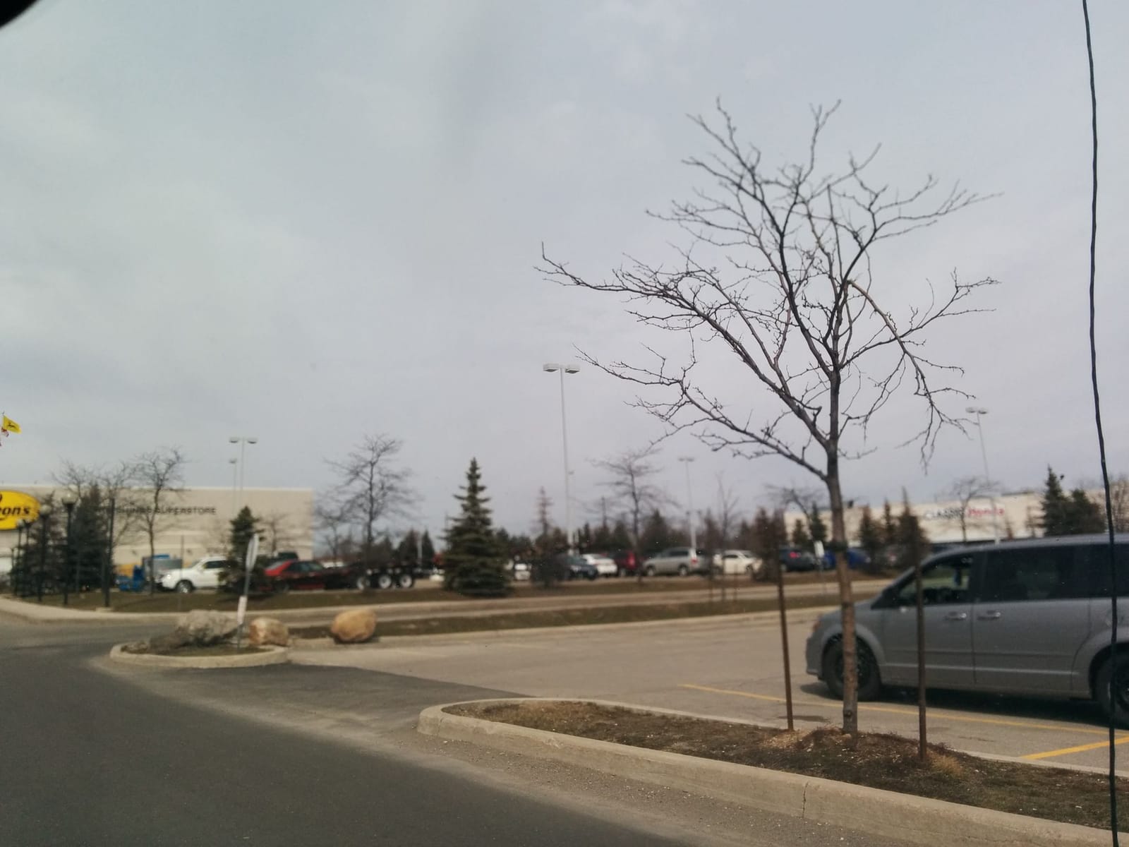 Tim Hortons