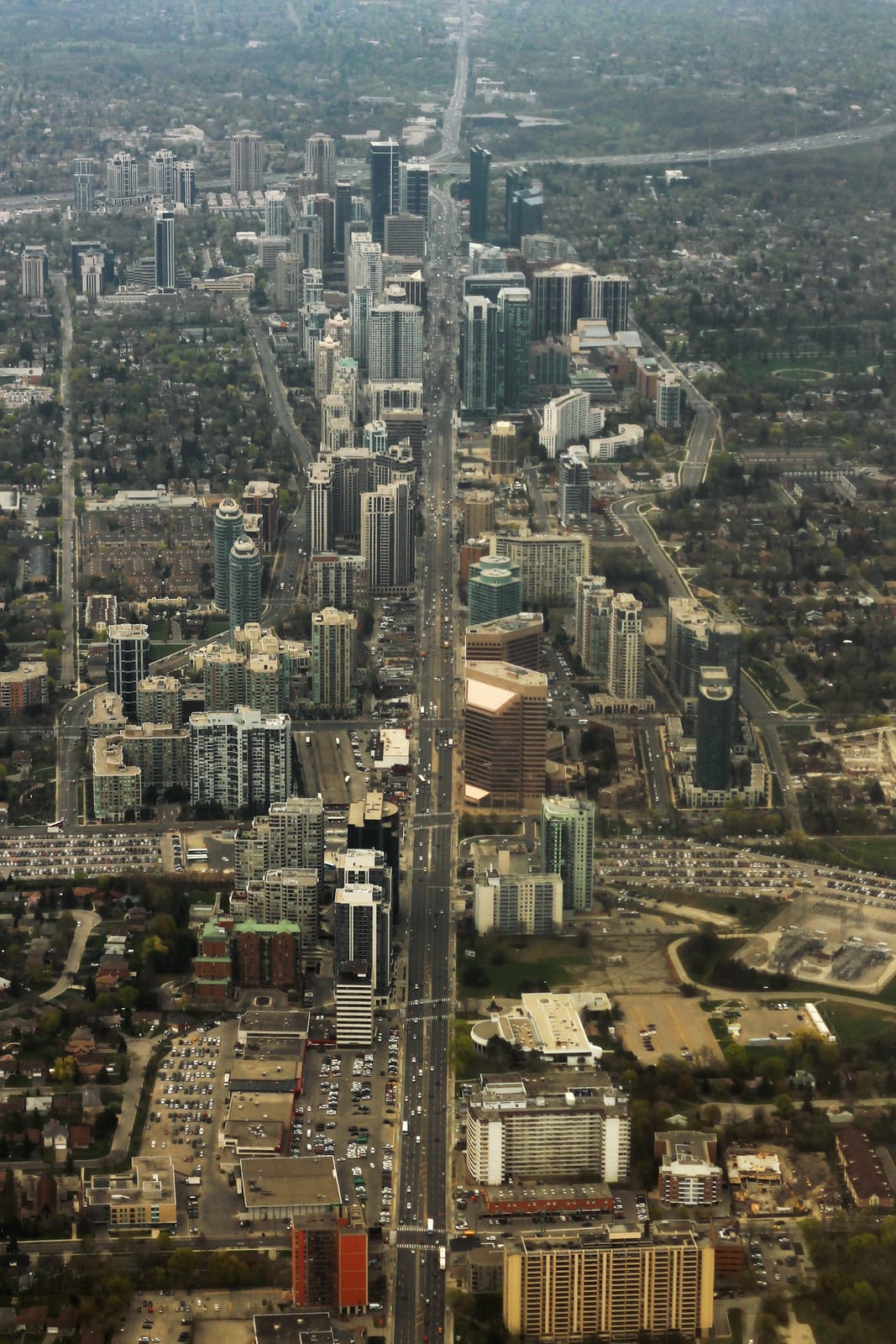 Tim Hortons photo 3