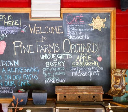 Pine Farms Orchard photo 6