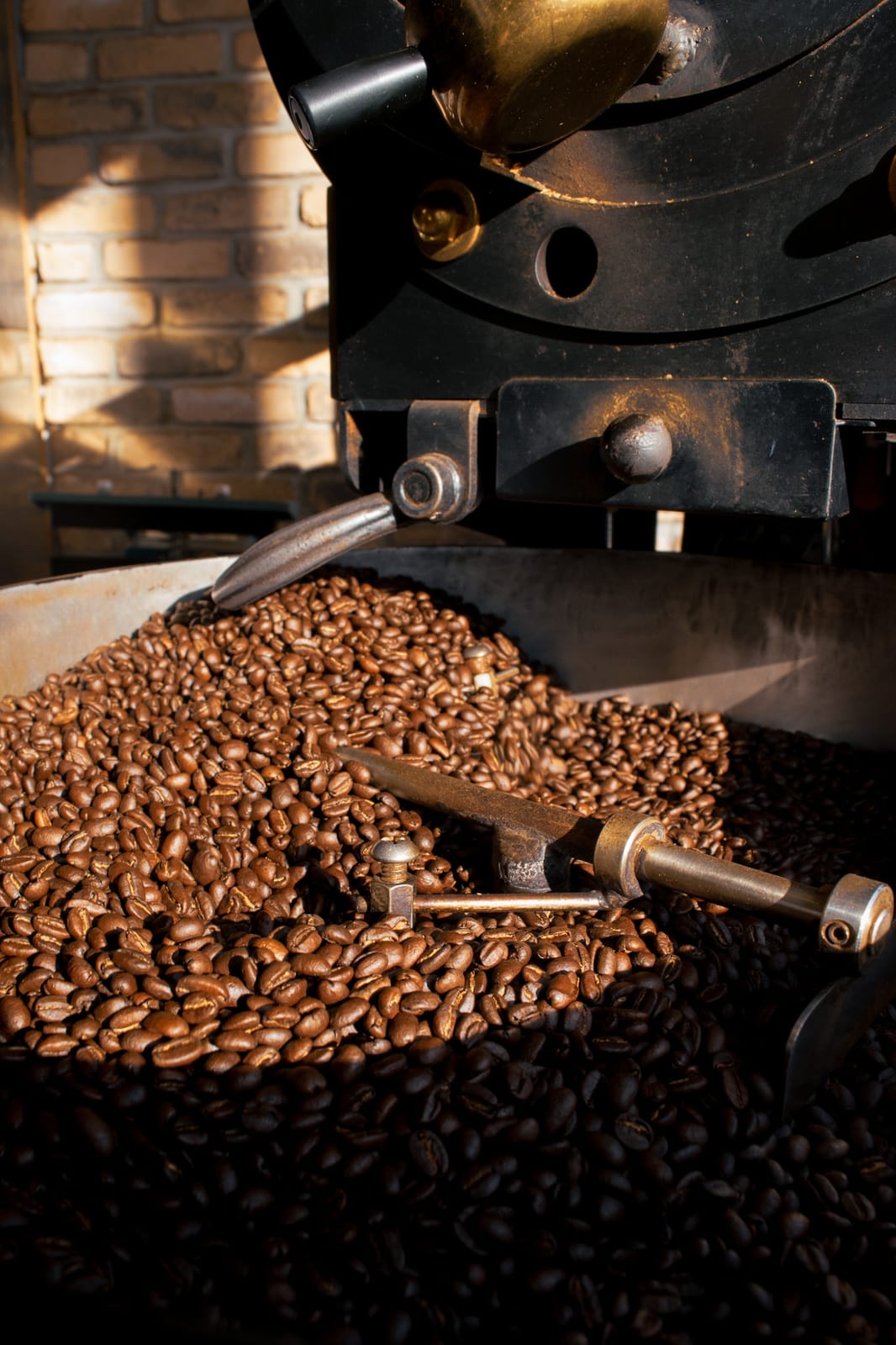 Coffee Tree Roastery