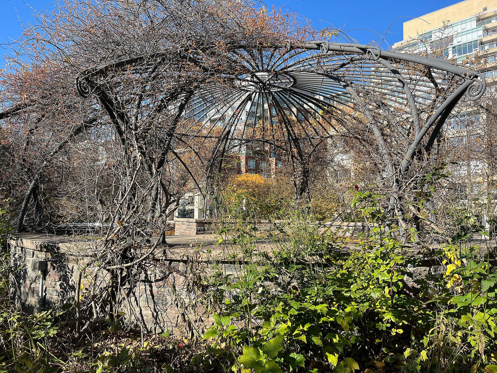 Music Garden Cafe photo 2