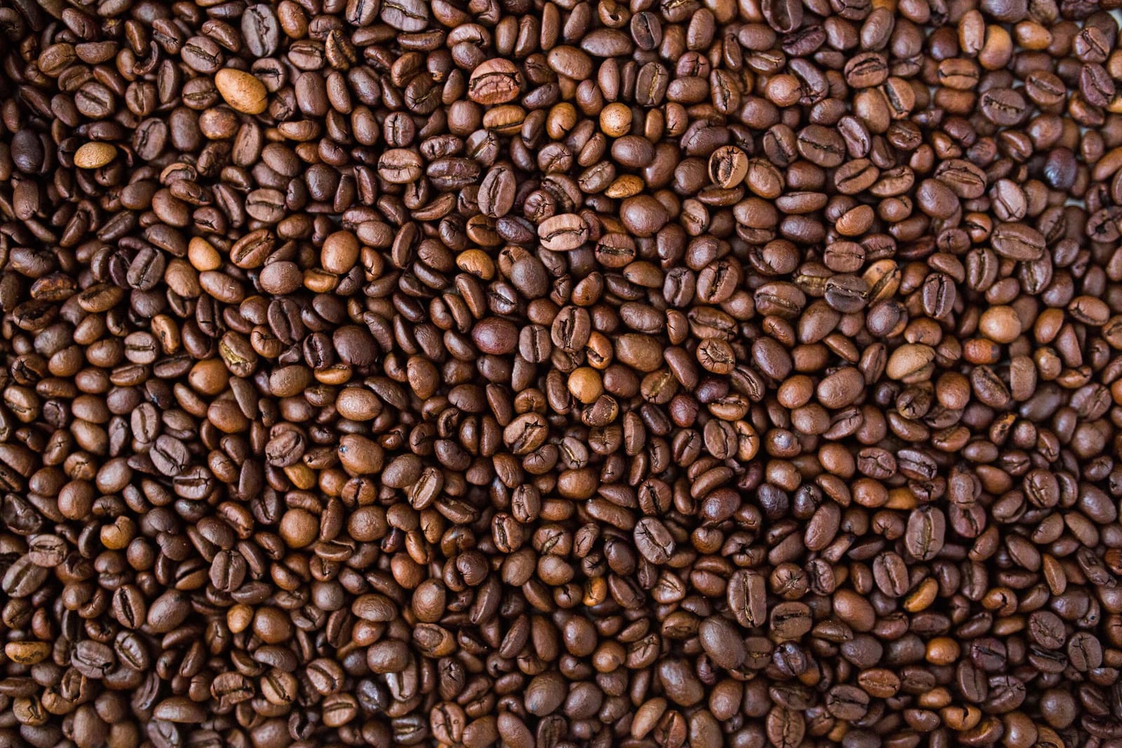 CRAVE Coffee House & Bakery