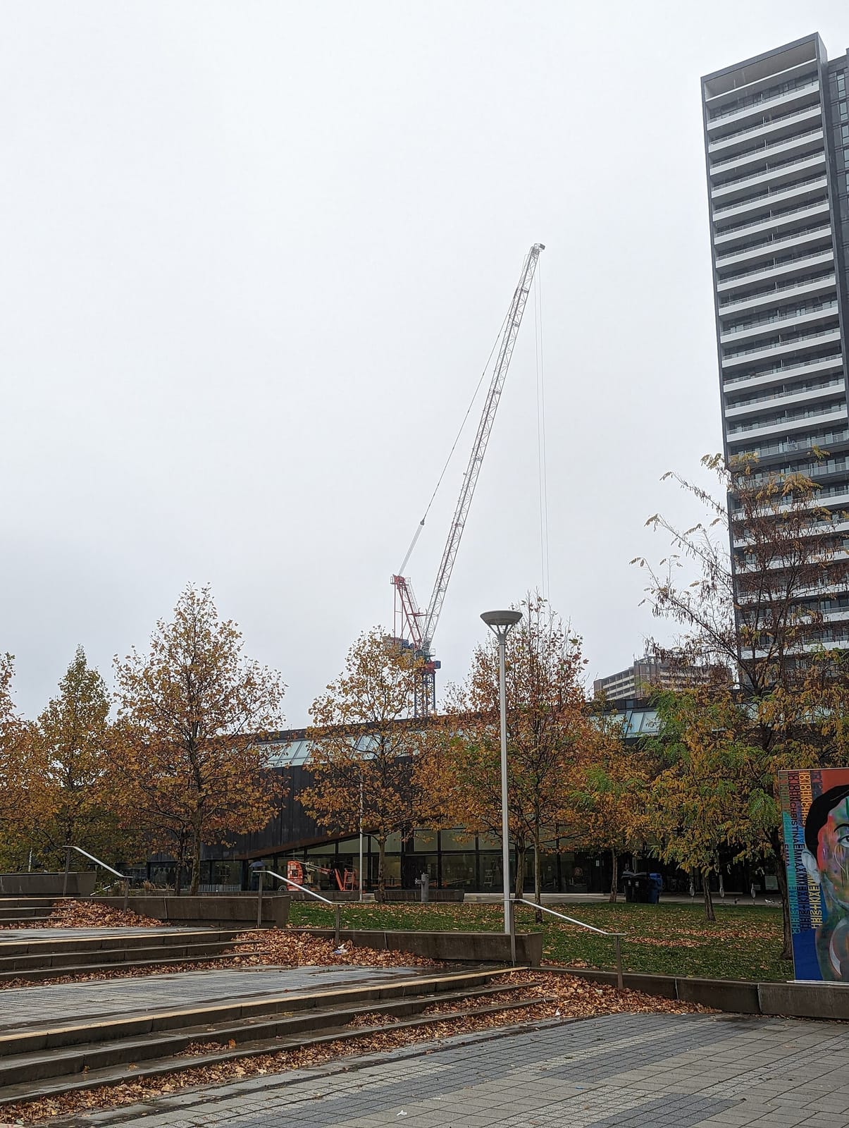 Tim Hortons photo 4