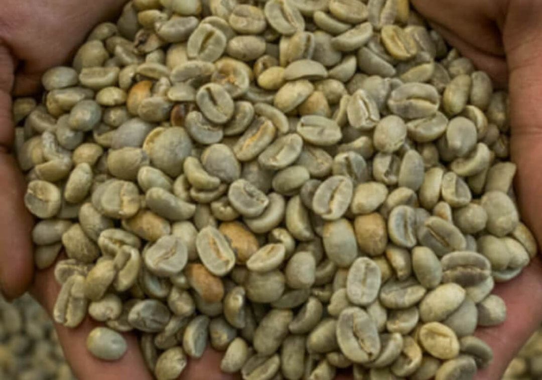 Planet Bean Coffee photo 5