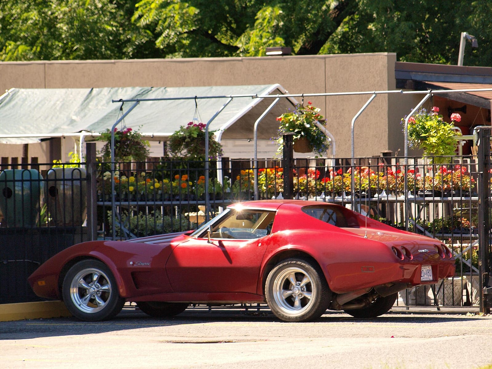 Tim Hortons