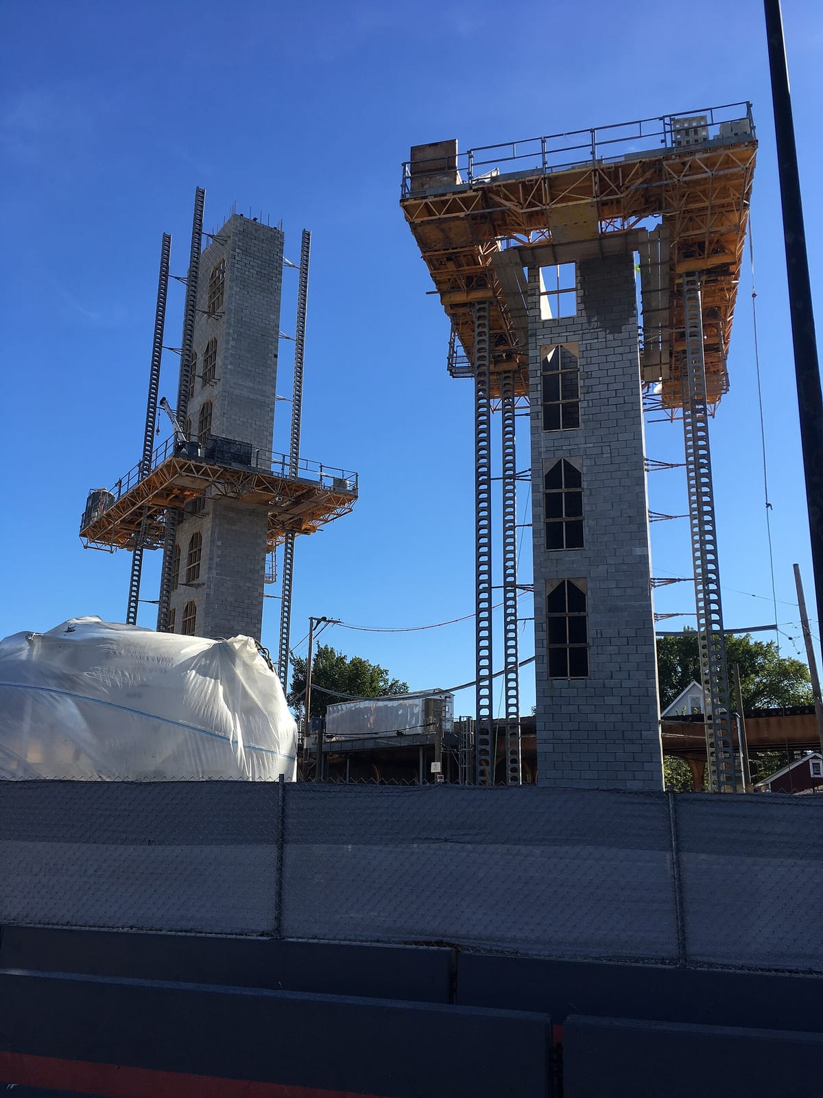 Snakes & Lattes photo 4