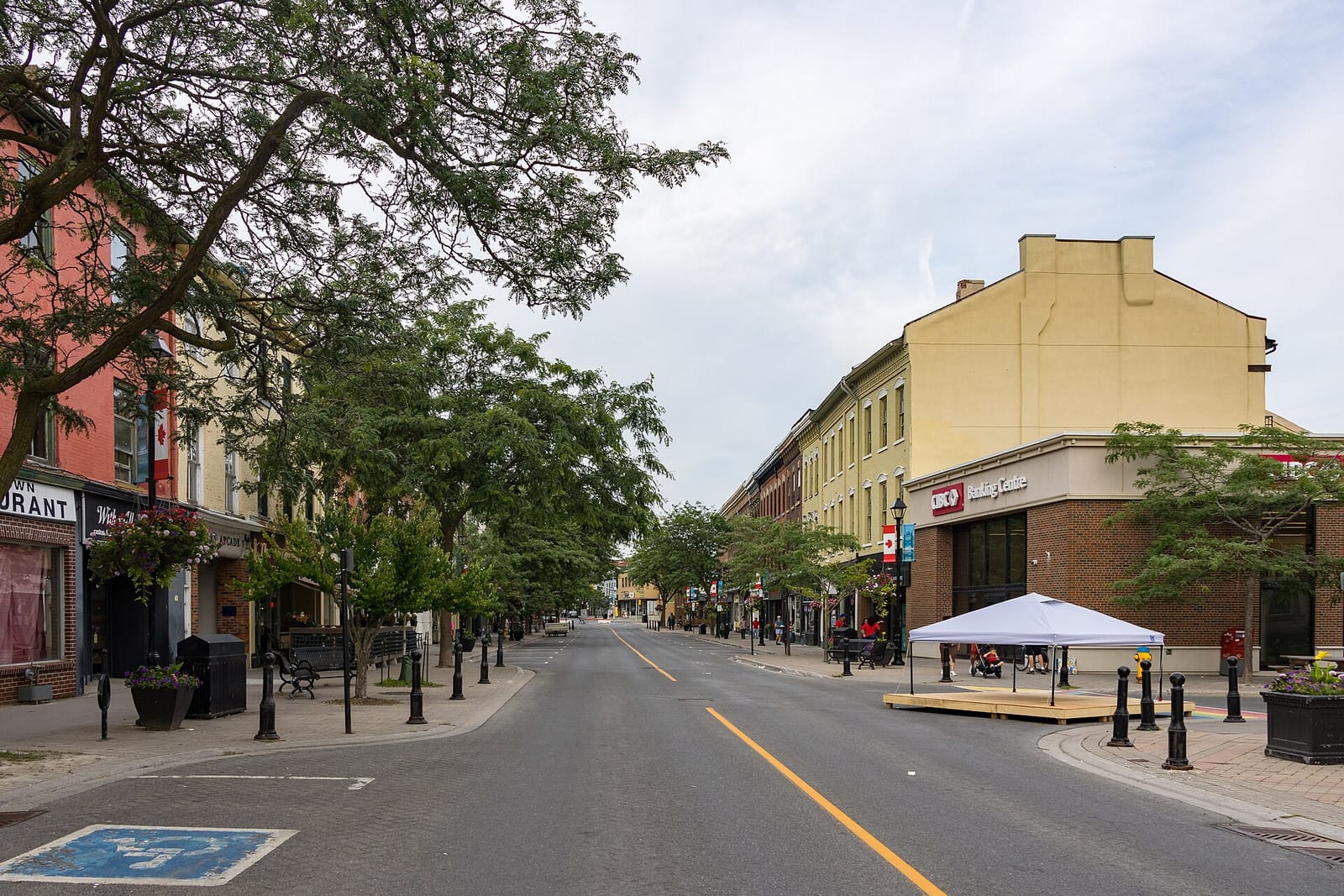 The Human Bean (Cobourg's Coffee House) photo 4