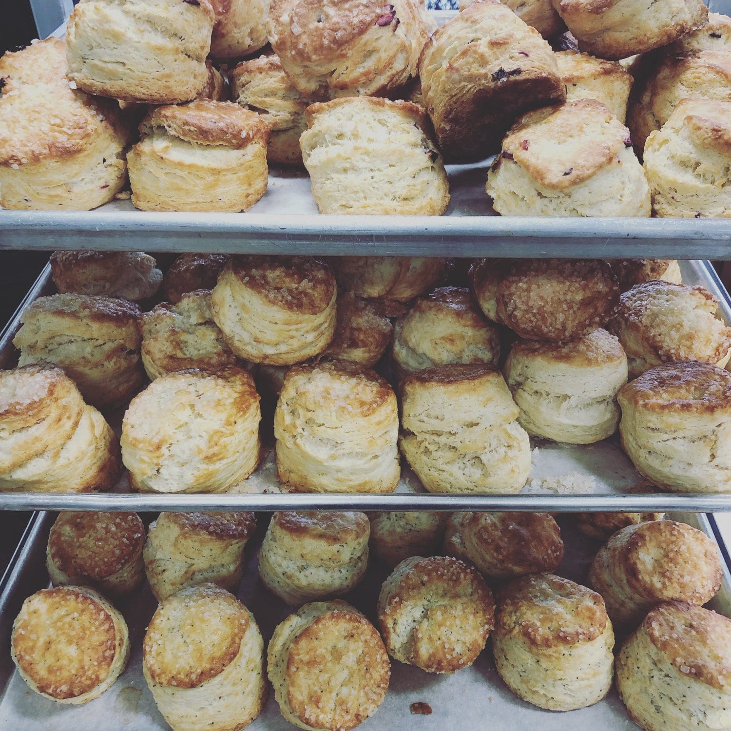 The SconeWitch