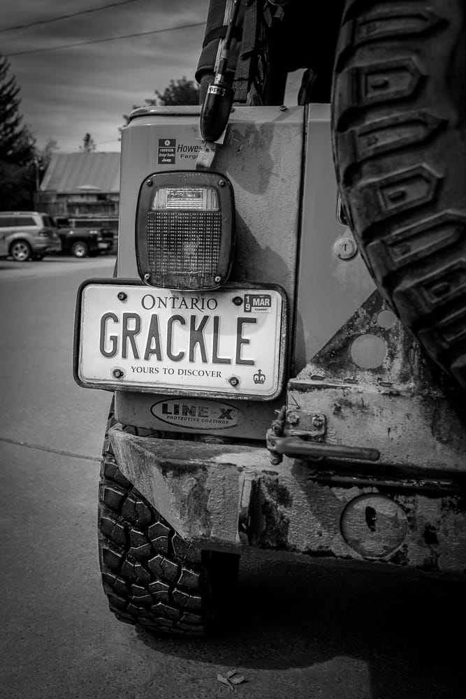 Grackle Coffee photo 7