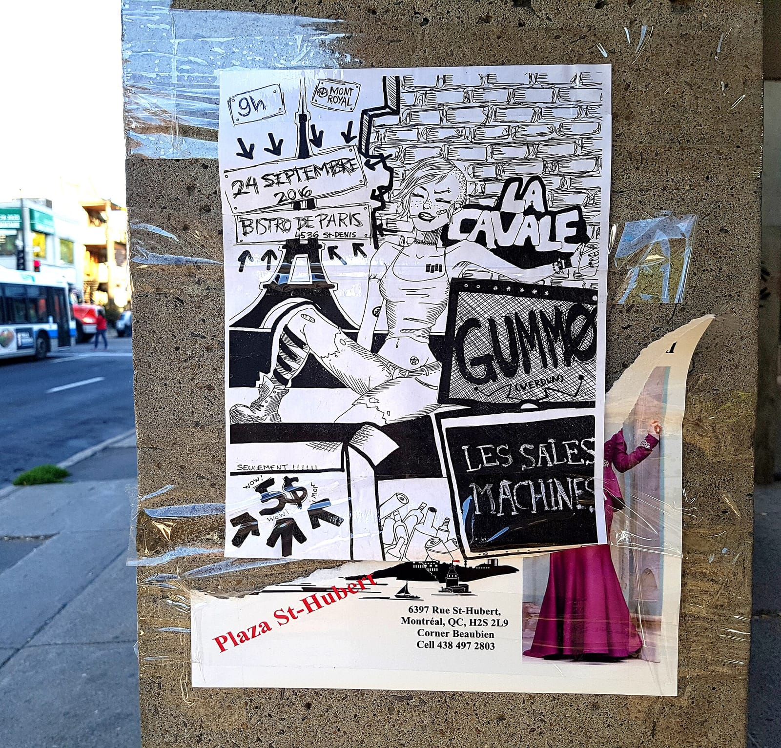 Café Coyote photo 3
