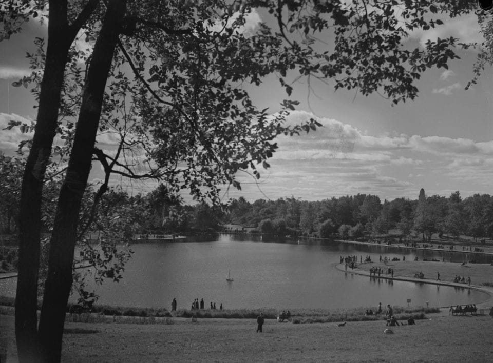 Café des Amis Lac aux castors photo 3