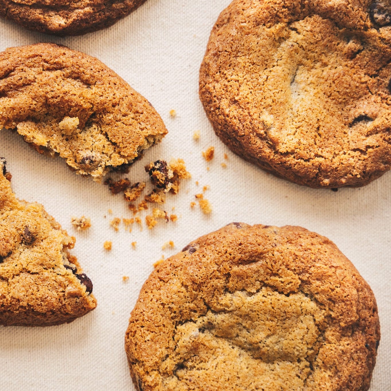 Cookie Stéfanie photo 2