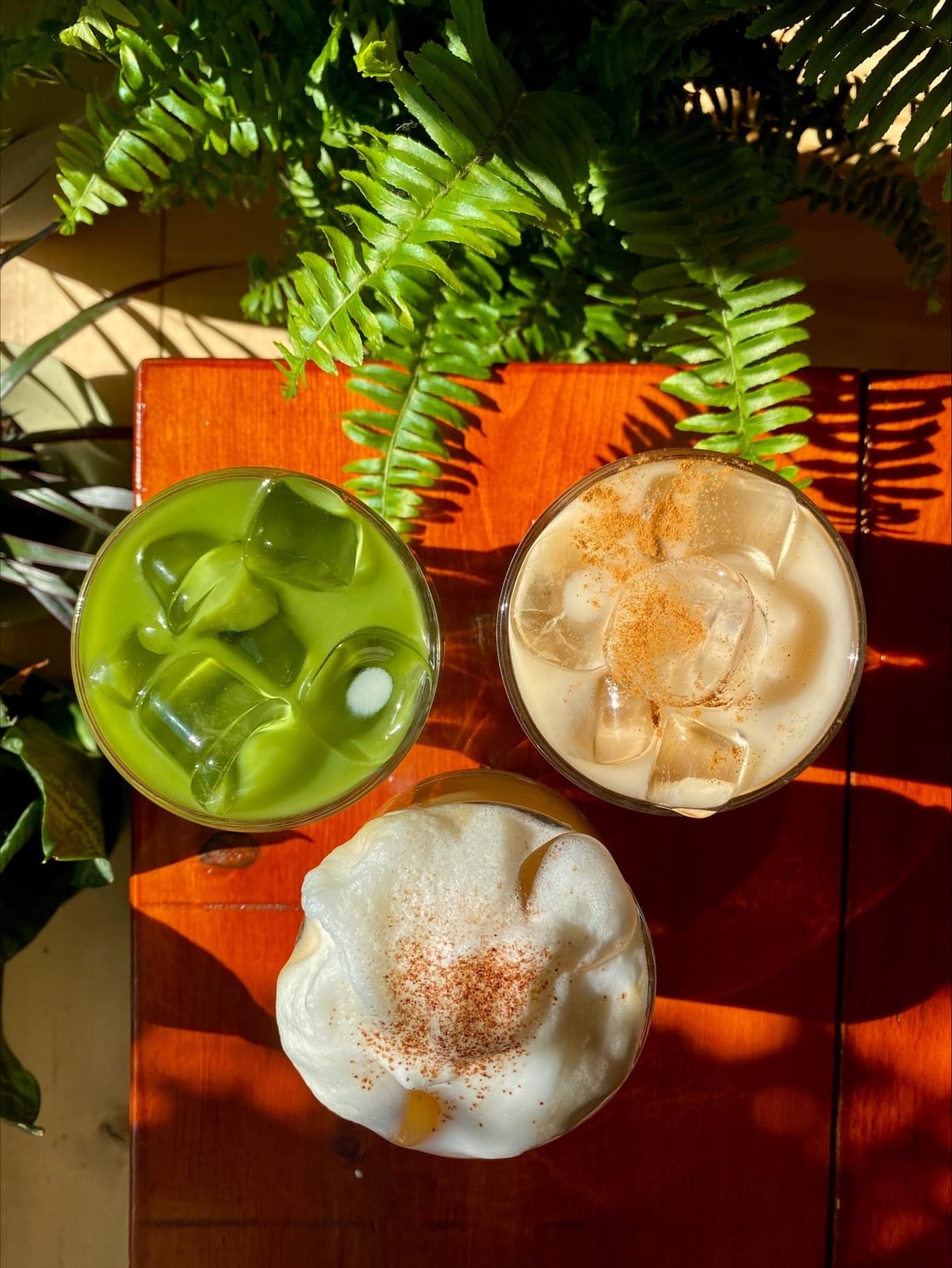 Café Jardin photo 3