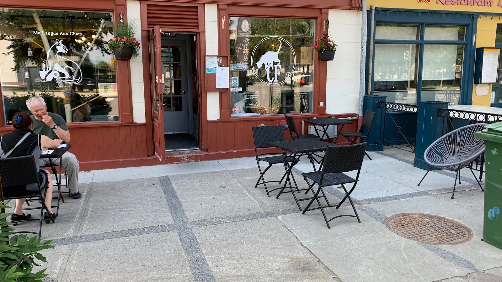 Café Félin - Ma langue aux chats