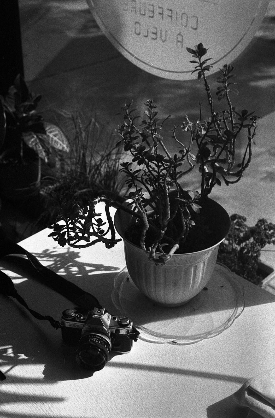 Café Léo photo 3