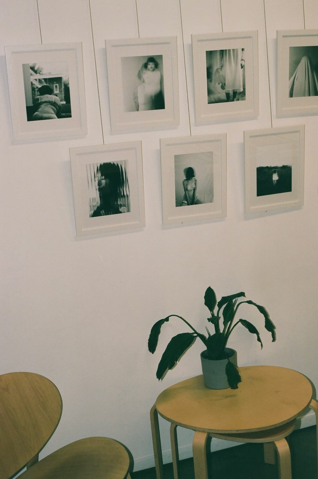Café Léo photo 6