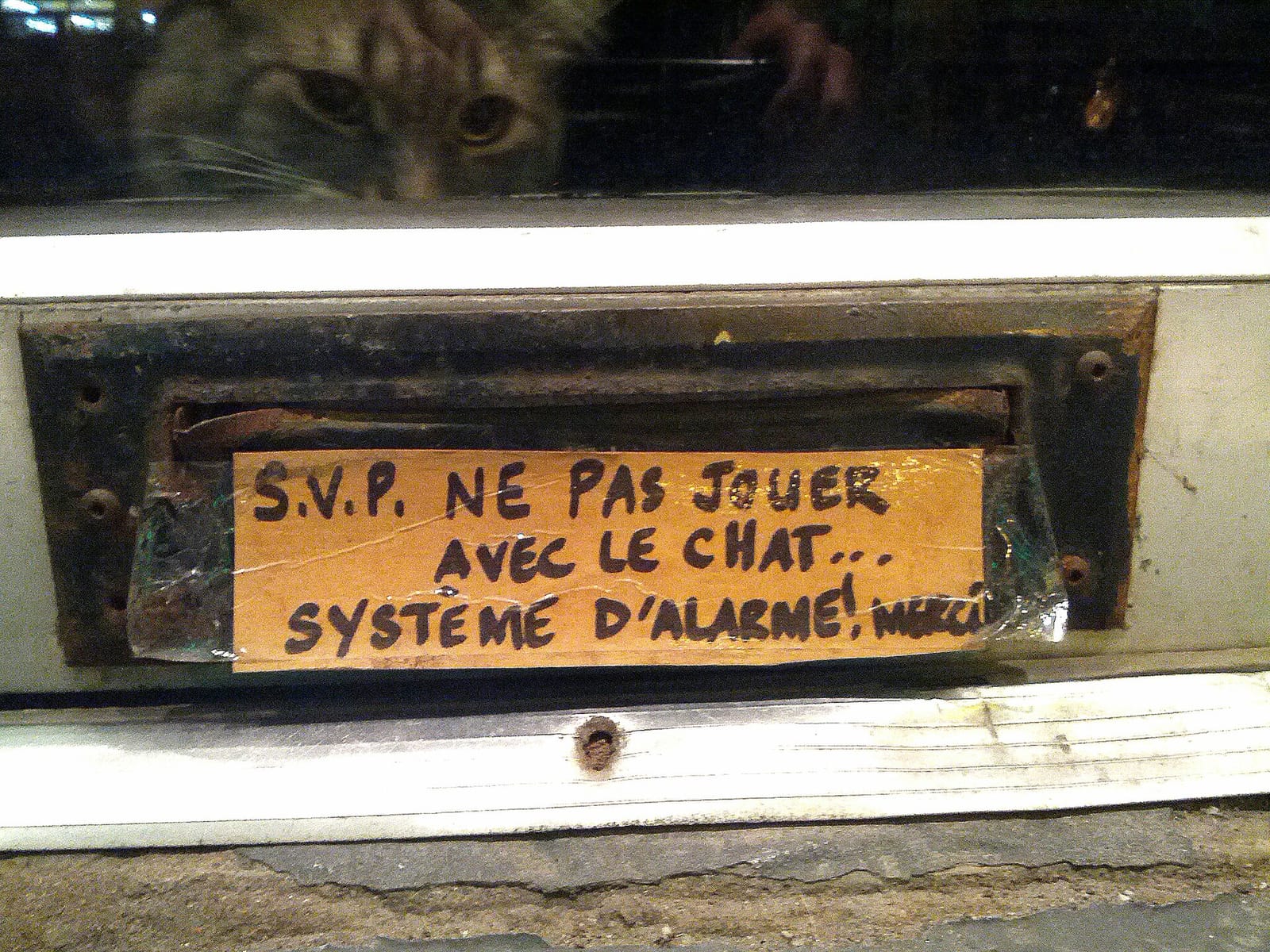 Java Café photo 5