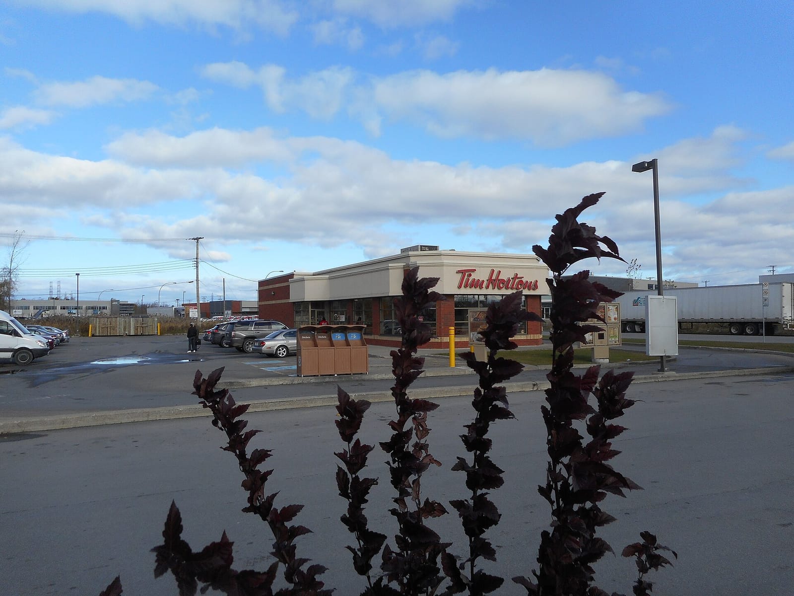 Tim Hortons