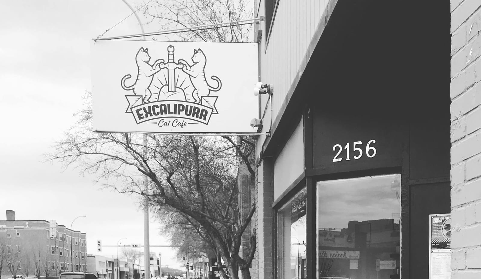 Excalipurr Cat Cafe